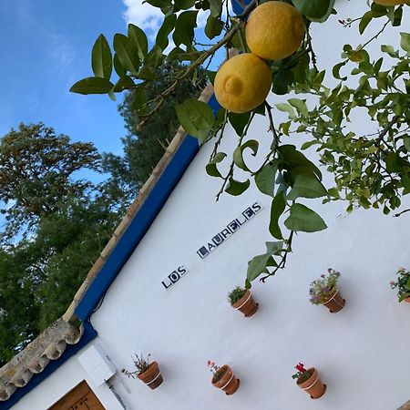Casa Los Laureles Pilas Exterior photo