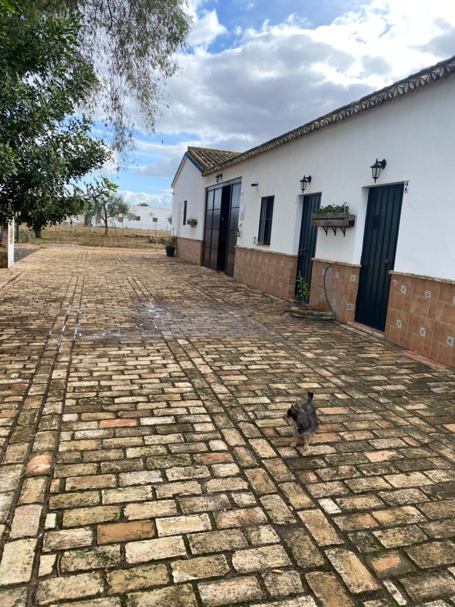 Casa Los Laureles Pilas Exterior photo