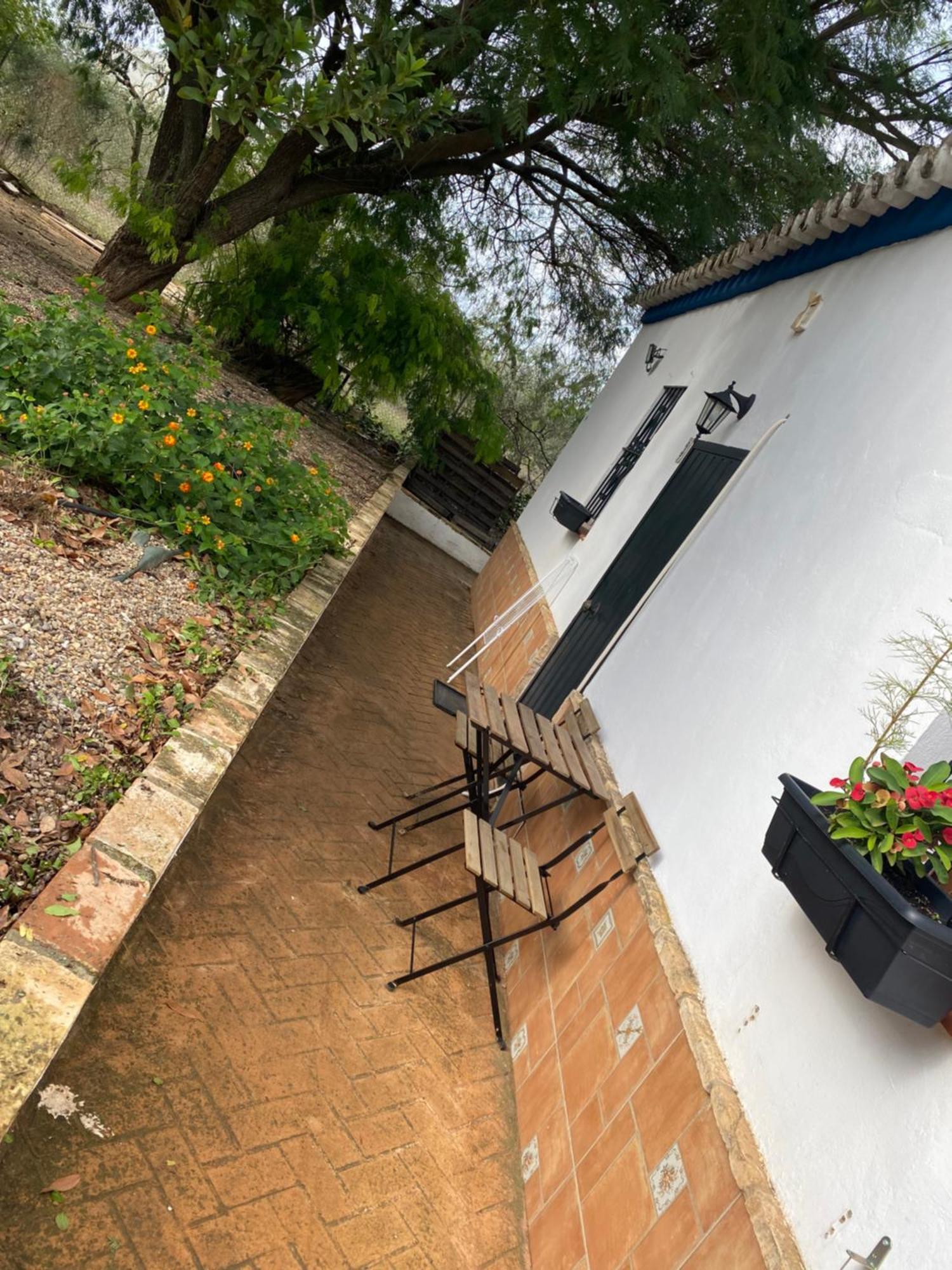 Casa Los Laureles Pilas Exterior photo
