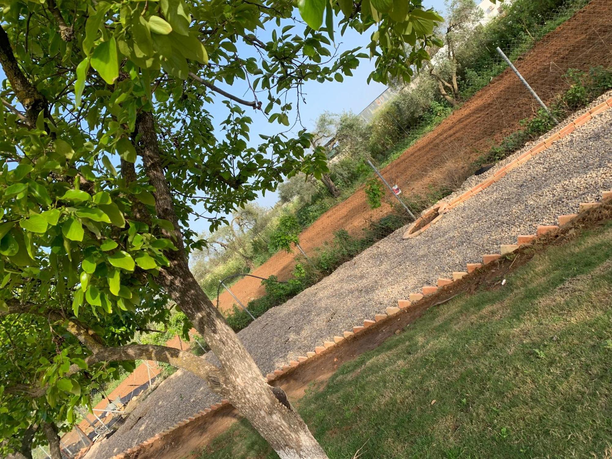 Casa Los Laureles Pilas Exterior photo