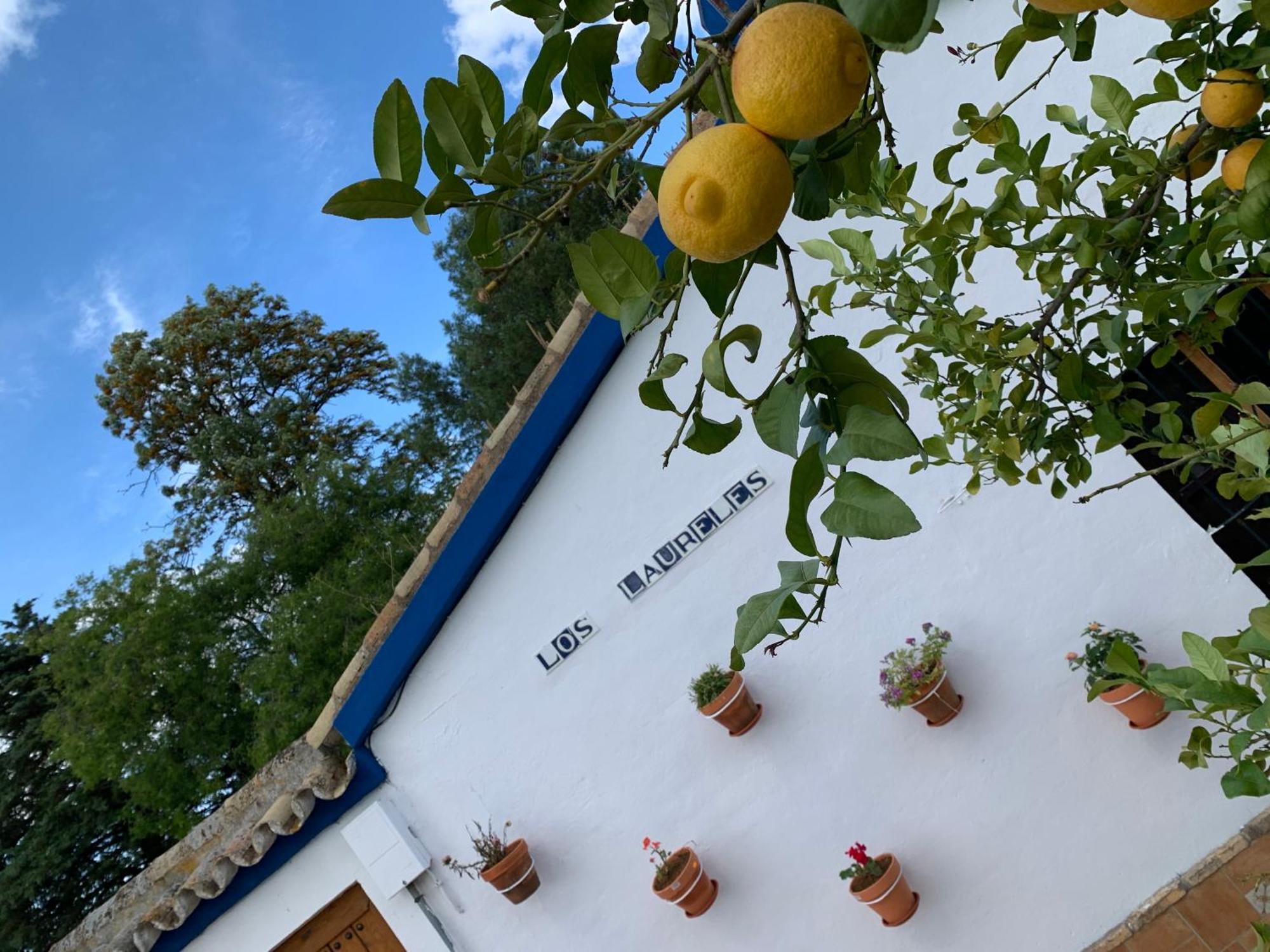 Casa Los Laureles Pilas Exterior photo