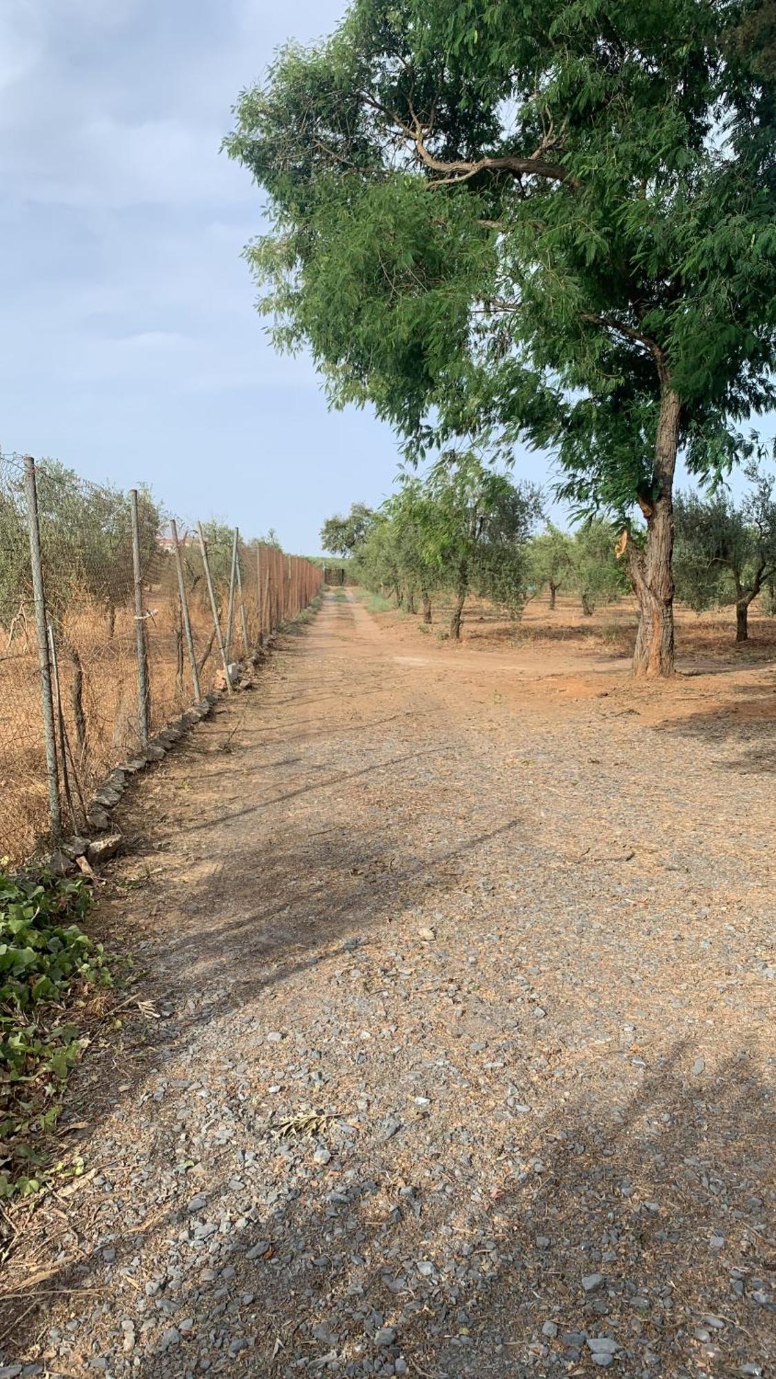 Casa Los Laureles Pilas Exterior photo
